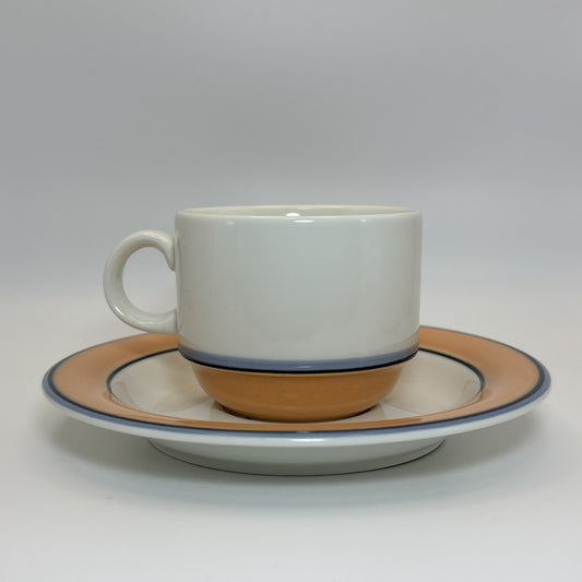 ARABIA Aprikos カップ&ソーサー C&S (アラビア/アークティカ レスタ アプリコス)