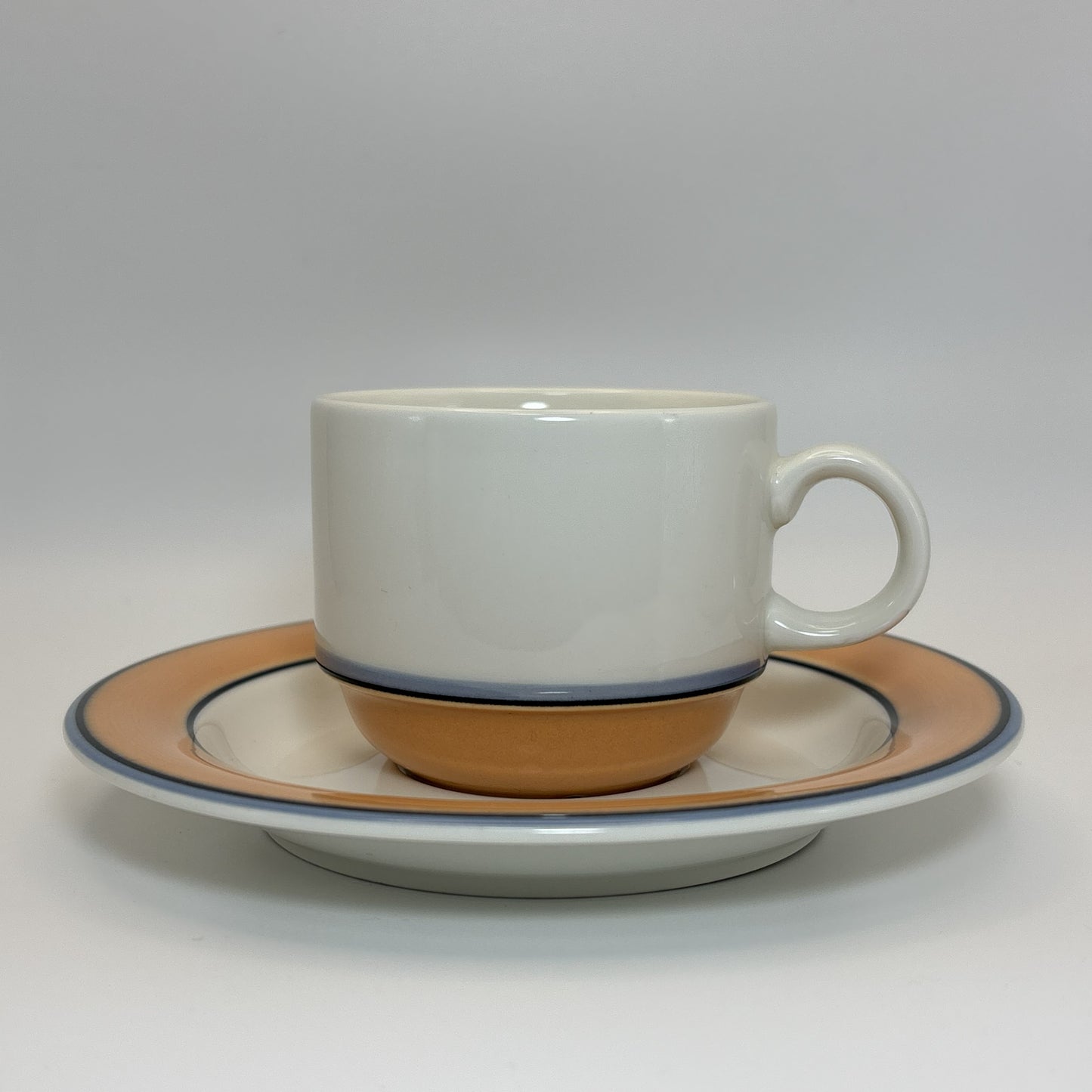 ARABIA Aprikos カップ＆ソーサー C&S （アラビア/アークティカ レスタ アプリコス）