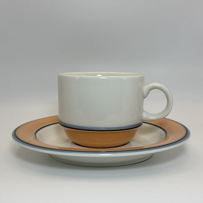 ARABIA Aprikos カップ＆ソーサー C&S （アラビア/アークティカ レスタ アプリコス）