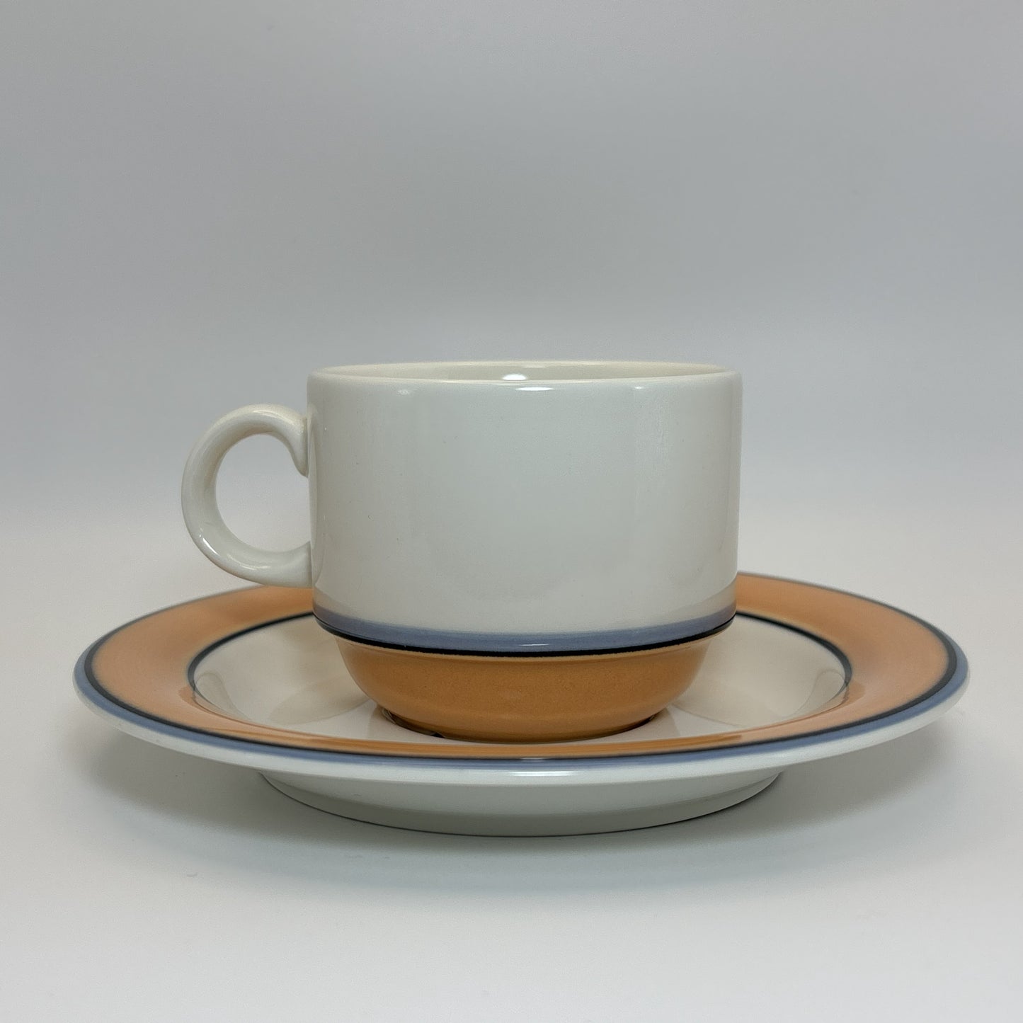 ARABIA Aprikos カップ＆ソーサー C&S （アラビア/アークティカ レスタ アプリコス）