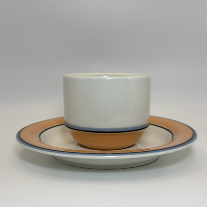 ARABIA Aprikos カップ＆ソーサー C&S （アラビア/アークティカ レスタ アプリコス）