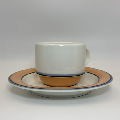 ARABIA Aprikos カップ＆ソーサー C&S （アラビア/アークティカ レスタ アプリコス）