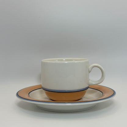 ARABIA Aprikos カップ＆ソーサー C&S （アラビア/アークティカ レスタ アプリコス）