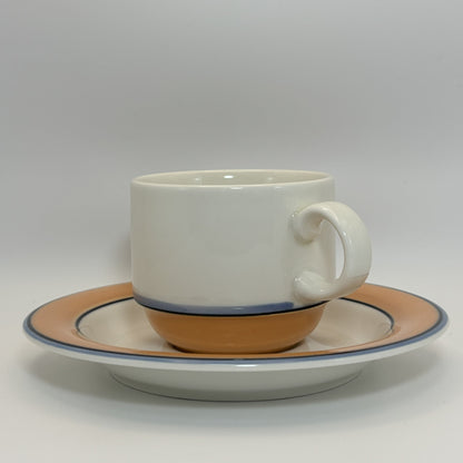 ARABIA Aprikos カップ＆ソーサー C&S （アラビア/アークティカ レスタ アプリコス）