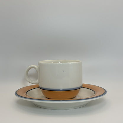 ARABIA Aprikos カップ＆ソーサー C&S （アラビア/アークティカ レスタ アプリコス）