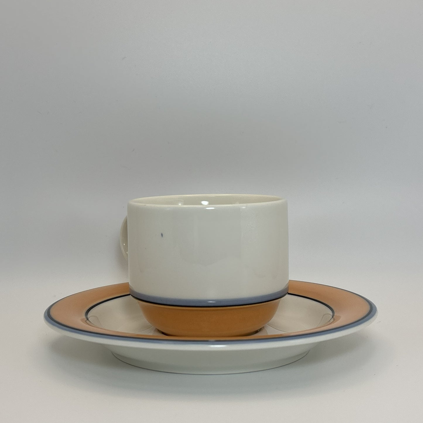 ARABIA Aprikos カップ＆ソーサー C&S （アラビア/アークティカ レスタ アプリコス）