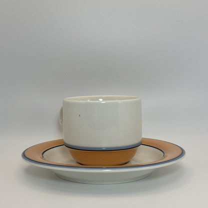 ARABIA Aprikos カップ＆ソーサー C&S （アラビア/アークティカ レスタ アプリコス）