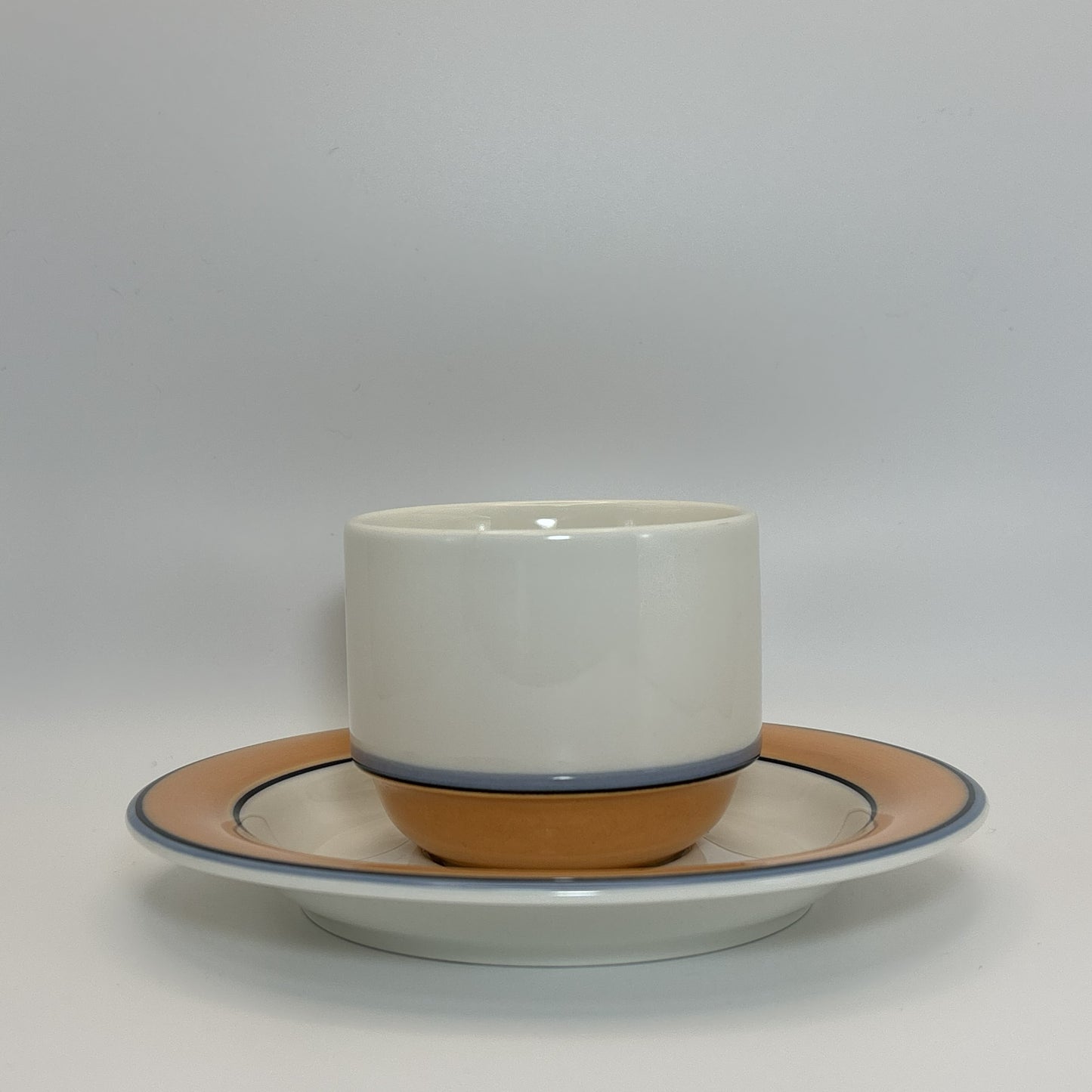 ARABIA Aprikos カップ＆ソーサー C&S （アラビア/アークティカ レスタ アプリコス）