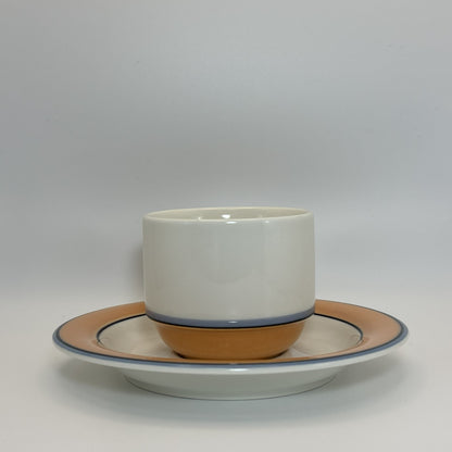 ARABIA Aprikos カップ＆ソーサー C&S （アラビア/アークティカ レスタ アプリコス）