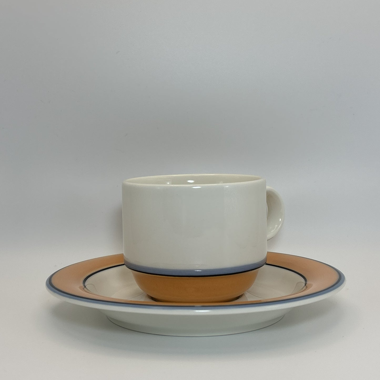 ARABIA Aprikos カップ＆ソーサー C&S （アラビア/アークティカ レスタ アプリコス）