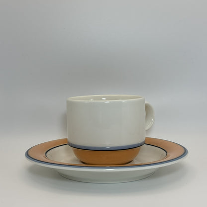 ARABIA Aprikos カップ＆ソーサー C&S （アラビア/アークティカ レスタ アプリコス）