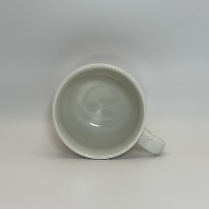 ARABIA Aprikos カップ＆ソーサー C&S （アラビア/アークティカ レスタ アプリコス）