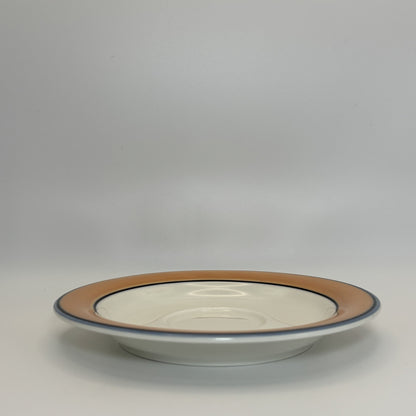 ARABIA Aprikos カップ＆ソーサー C&S （アラビア/アークティカ レスタ アプリコス）